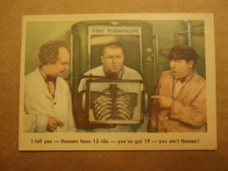 1959 Fleer Three Stooges Trading Cards 14 Ex " I Tell You - Humans Have 13 Ribs.