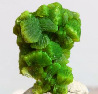2.  2g Precious Lamellar Green Autunite Crystal On Bedrock Mineral Specimen China