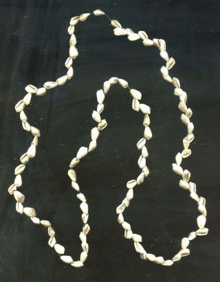 Indian Artifacts - Fine Shell Bead Necklace