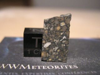 Meteorite Nwa 11537 - Carbonaceous,  Cv3 Chondrite.