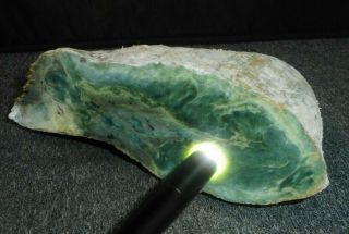 Washington State Translucent Regal Jade Rough