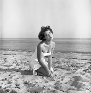 1950s Ron Vogel Negative,  Sexy Pin - Up Girl Julie Hart At The Beach,  T244650