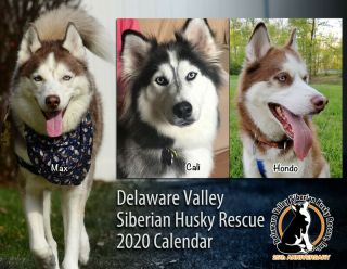 2020 Delaware Valley Siberian Husky Rescue 