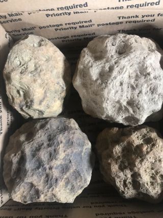 Large Flat Rate Box Of Kentucky Geodes:4 Big Ones.  4=32 Lbs.  Geode