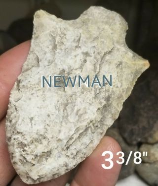 Huge Newman Arrowhead Spear Point Native Indian Artifact South Georgia Coral