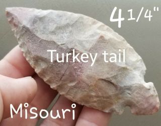 Authentic Turkeytail Arrowhead Spear Point Native Indian Artifact 4.  3 " Missouri