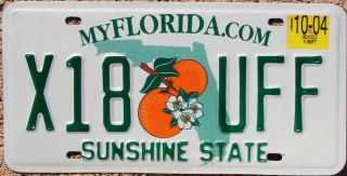 Florida Oranges License Plate Sunshine State - Random Letters - Fl