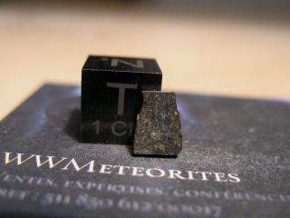 Meteorite NWA 8785 - Rare EL3 enstatite chondrite 2
