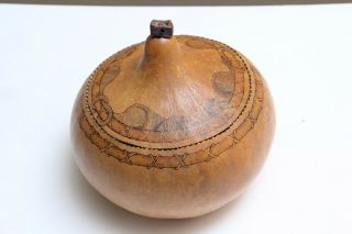 Artist Signed Folk Art Carved Painted Gourd Ceramic Knob Box Container Rats