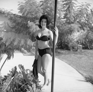 1960s Vogel Negative,  Gorgeous Pin - Up Girl Marti Lange In Sexy Bikini,  T230788