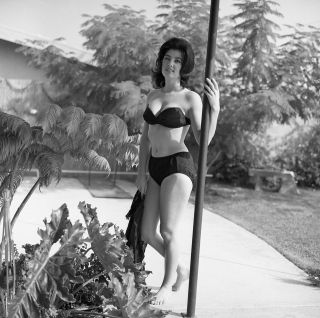 1960s Vogel Negative,  Gorgeous Pin - Up Girl Marti Lange In Sexy Bikini,  T230787