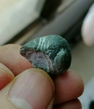 Rare Trilobite Fossil,  Ordovician,  Hubei,  China Ag37