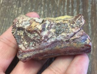 Rare Exotic Gemstone Rock Stone Mineral Specimen 152 3