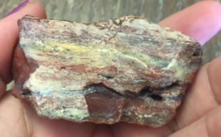 Rare Exotic Gemstone Rock Stone Mineral Specimen 152 5