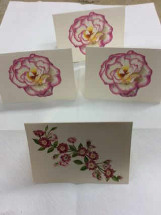 4 - Paula Skene Exquisite Foil Embossed Blank Cards The Garden Series