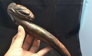 Neolithic Hongshan Culture Jade Powerful Horse Head Scepter Fa Qi Carving 9.  25 "