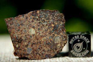 Nwa 10686 L3 Primitive Chondrite Meteorite 2 Gram Part Slice Simply