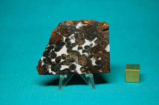 Sericho Meteorite Pallasite 19.  8 Grams