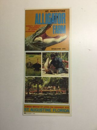 Old St Augustine Alligator Farm Brochure - Florida