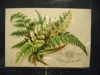 Victorian Scrap 5404 - Christmas Card - Ferns