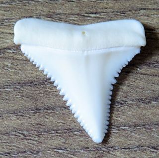 1.  092 " Upper Nature Modern Great White Shark Tooth (teeth)