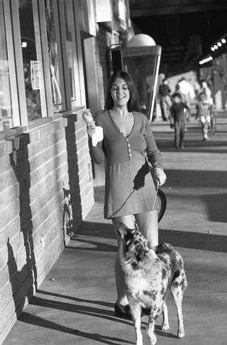 60s Vogel Negative,  Sexy Pin - Up Girl Elissa Miller With Ice Cream & Dog,  T227067
