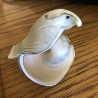Zuni Lovely Bird Carved From Shell Signed By Darren Boone