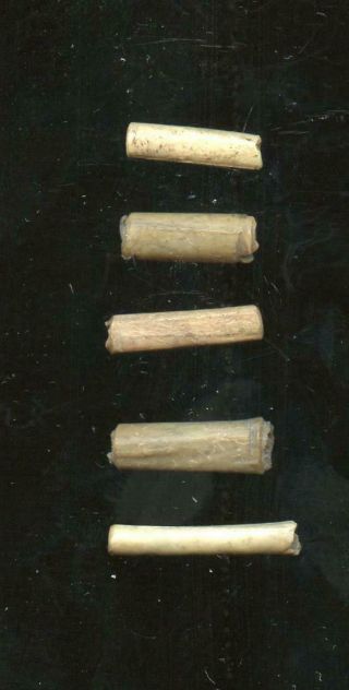 Indian Artifacts - 5 Bird Bone Beads - Glovers Cave Site
