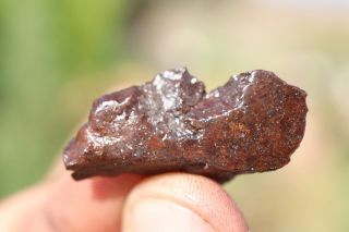Mandaly Spring Meteorite End Cut 4.  2 Grams