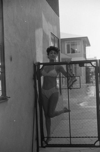 1960s Ron Vogel Negative,  Sexy Pin - Up Girl Jo Ann Mancin In Bikini,  T993340