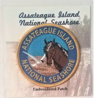 Assateague Island National Seashore Maryland Patch C