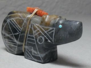 Zuni Fetish F - 1205 Picasso Marble Bear W/offering By Gabe Burns