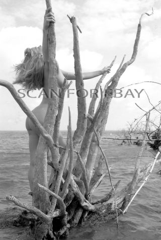 Nude 35mm Negative Busty Female Model Vintage Fine Art Beach Pinup H12.  14