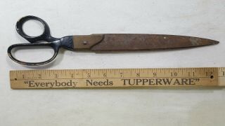 12 " Scissors Warner Accuracy Tools Sheers Rare Vintage Antique Long Narrow Brass