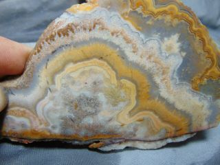 old mexican crazy lace agate slabs 2