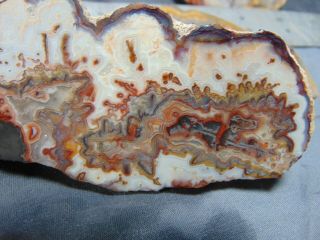 old mexican crazy lace agate slabs 3