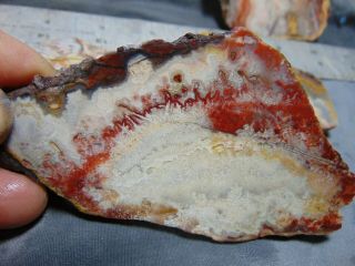 old mexican crazy lace agate slabs 4