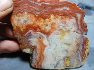 old mexican crazy lace agate slabs 5