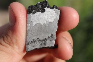 Canyon Diablo Meteorite Part Slice 7.  4 Grams