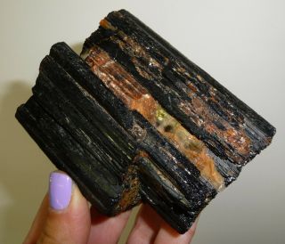 Dino: Huge Natural Black Tourmaline Crystal Specimen,  Brazil - 450 Grams