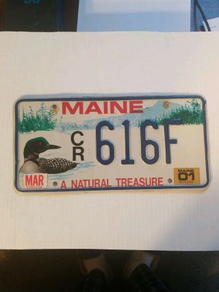 2001 Maine " Loon/a Natural Treasure " Graphic License Plate (cr 616f)