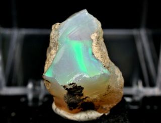 Minerals : Precious Opal With Green And Blue Fire From Australia