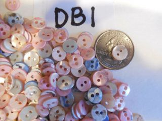 100s,  Assorted Mother Of Pearl Doll,  Baby Shell Buttons