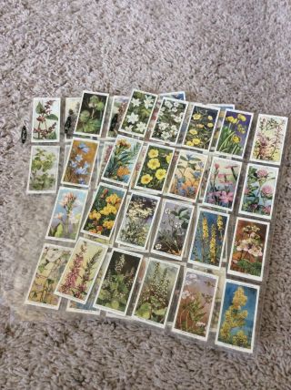 1937 W.  D.  & H.  O.  Wills Wild Flowers 2nd Series Of 50