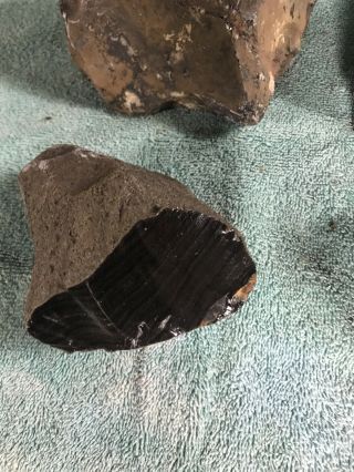 16 lbs.  of Obsidian rough cutting/knapping stock. 5