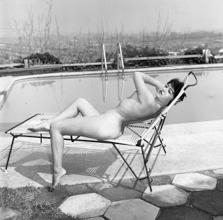 1960s Ron Vogel Negative,  Gorgeous Nude Brunette Pin - Up Girl Doritz,  T237157