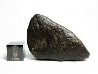Nwa X Meteorite 30.  97g Superbly Shaped Stony Space Rock