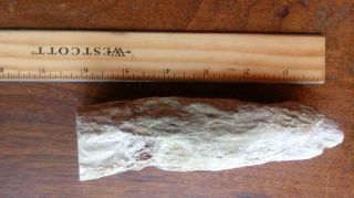 Oregon Petrified Limb Wood (Limb cast) 3