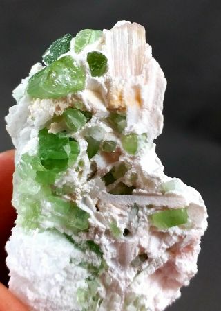 258 Carat Tourmaline Crystal Combine With Kunzite Crystal Specimen@afg