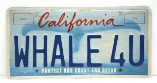 California License Plate,  Whale Tail Protect Our Ocean And Coast - Whale 4u